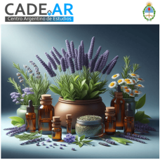 Curso Online de Aroma Reiki
