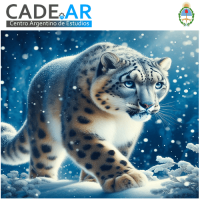 Curso Online de Empoderamiento Leopardo de Nieve