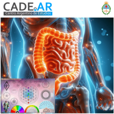 Curso Online de Mesa Radiónica de Sanación Intestinal 