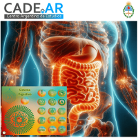 Curso Online de Mesa Radionica del Sistema Digestivo 1