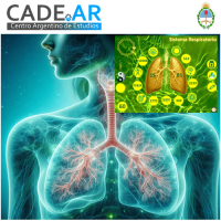 Curso Online de Mesa Radionica Sistema Respiratorio 