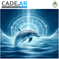 Curso Online de Reiki Delfín