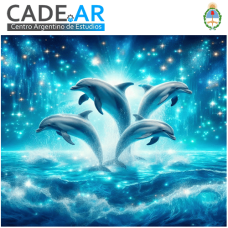 Curso Online de Vibración Delfín Diamante