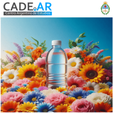Curso Online de Aguas Magicas