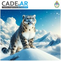 Curso Por Zoom De Empoderamiento Leopardo De Nieve