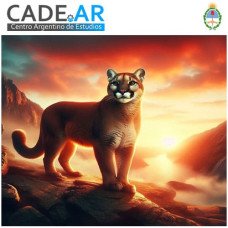 Curso Por Zoom De Empoderamiento Del Puma